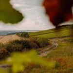 Azur Camping Wertheim - Bild 15