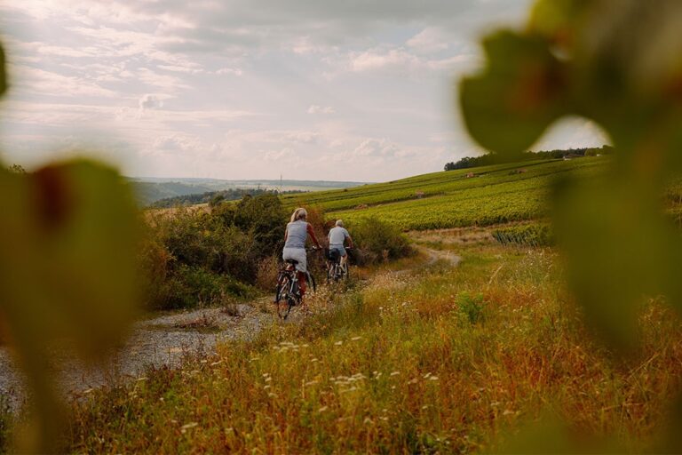 Azur Camping Wertheim - Bild 3