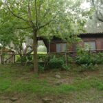 Azzurro Camping Village - Bild 4