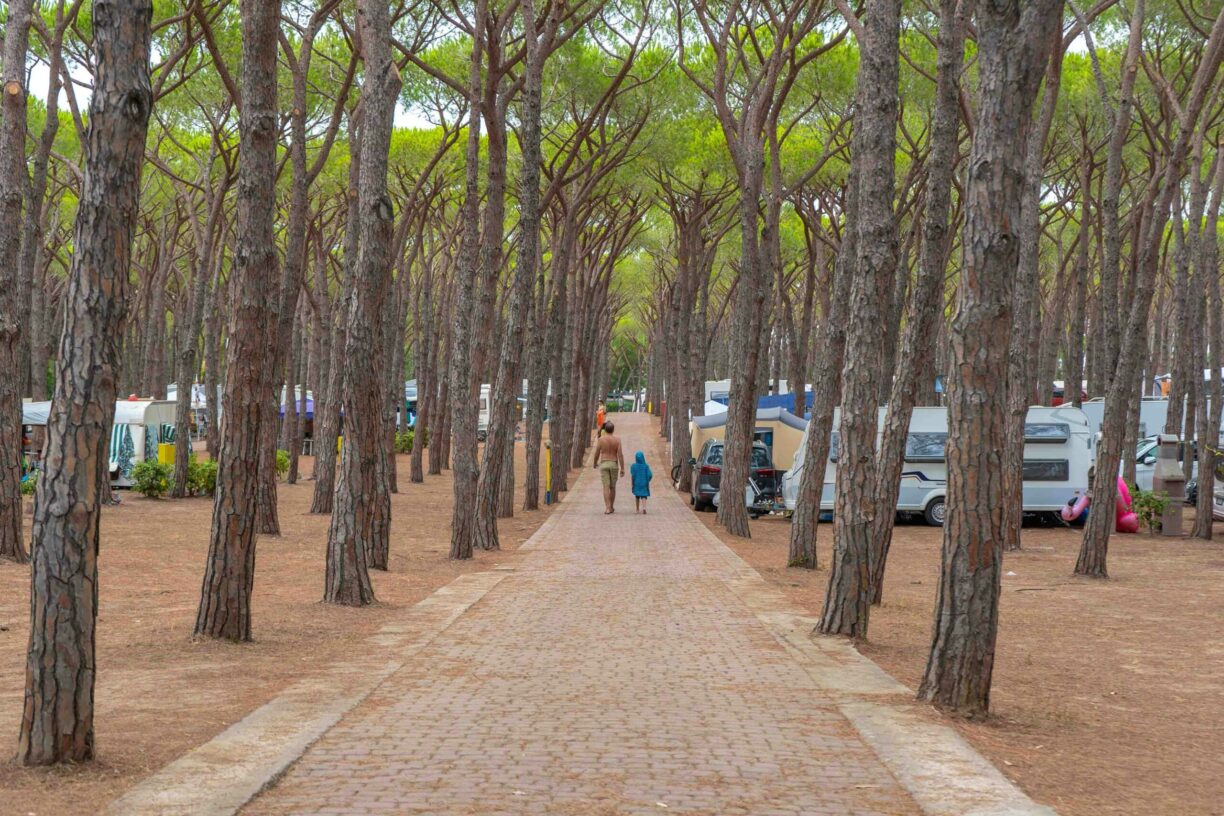 Baia Holiday Baia Blu La Tortuga - Bild 17 Baia Holiday Baia Blu La Tortuga - Bild 17