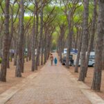 Baia Holiday Baia Blu La Tortuga - Bild 17 Baia Holiday Baia Blu La Tortuga - Bild 17