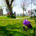 Baia Holiday Gasparina - Bild 20