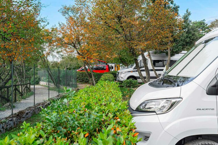 Baia Holiday Mare Pineta - Bild 6