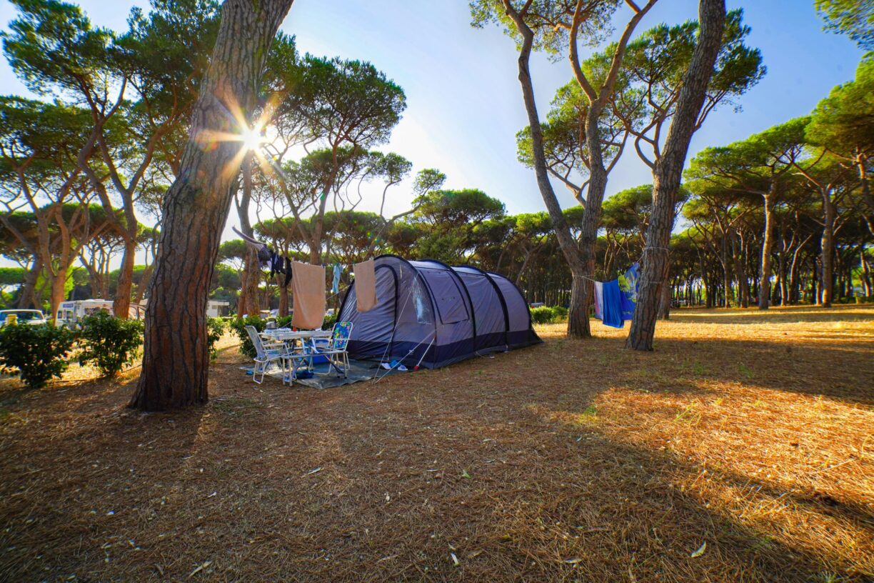 Baia Holiday Roma Capitol - Bild 11 Baia Holiday Roma Capitol - Bild 11