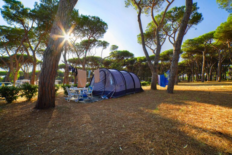 Baia Holiday Roma Capitol - Bild 11 Baia Holiday Roma Capitol - Bild 11