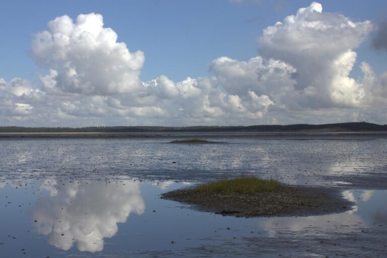 Ballum Camping - Bild 11