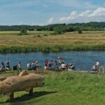 Bamsebo Camping - Bild 2