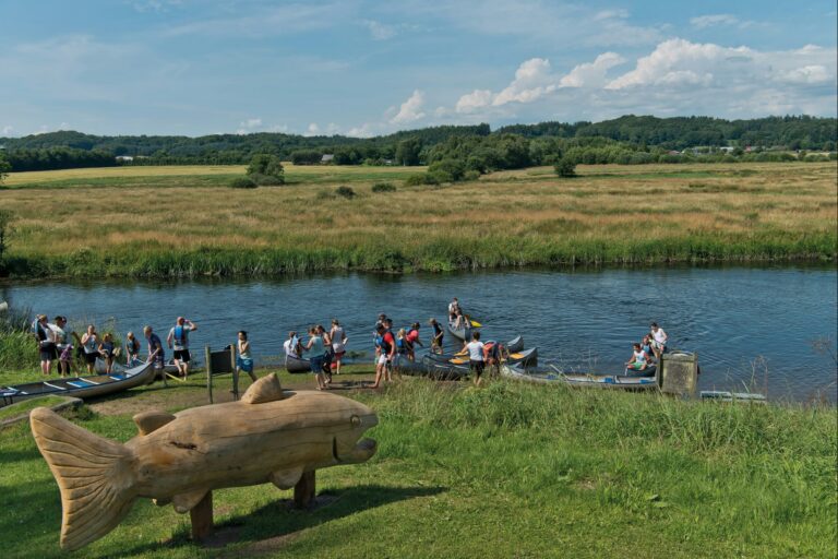 Bamsebo Camping - Bild 2