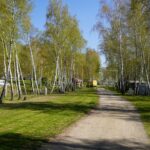 Bergwitzsee Resort - Bild 7 Bergwitzsee Resort - Bild 7