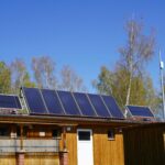 Bergwitzsee Resort - Bild 9 Bergwitzsee Resort - Bild 9