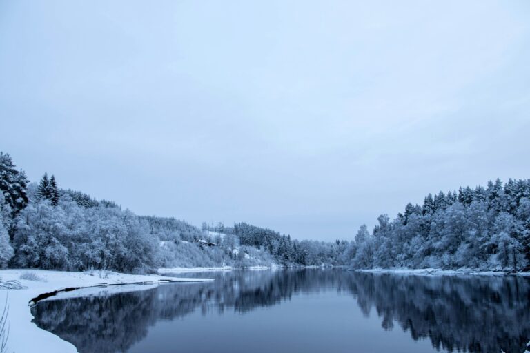 Björkebo Camping - Bild 12