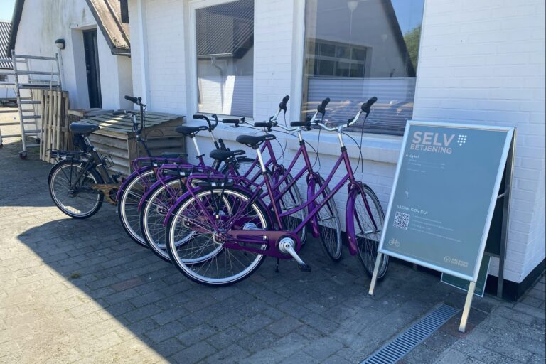 Blokhus Natur Camping - Bild 10