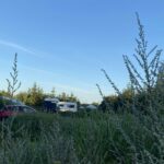 Blokhus Natur Camping - Bild 6