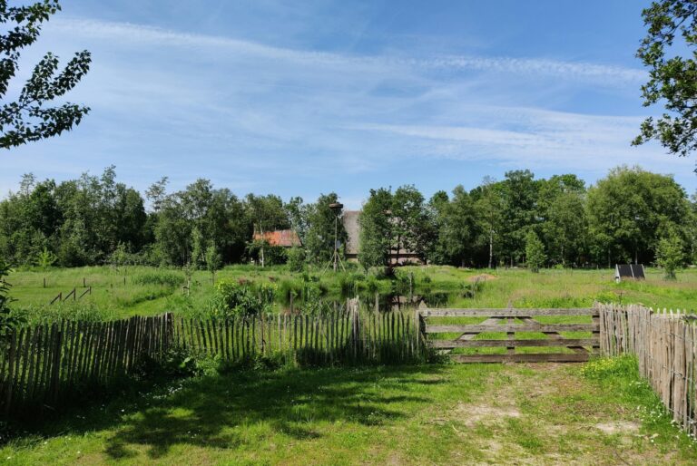 Boetiekpark De Kas - Bild 9