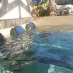 Bontempo Village La Yole - Bild 7