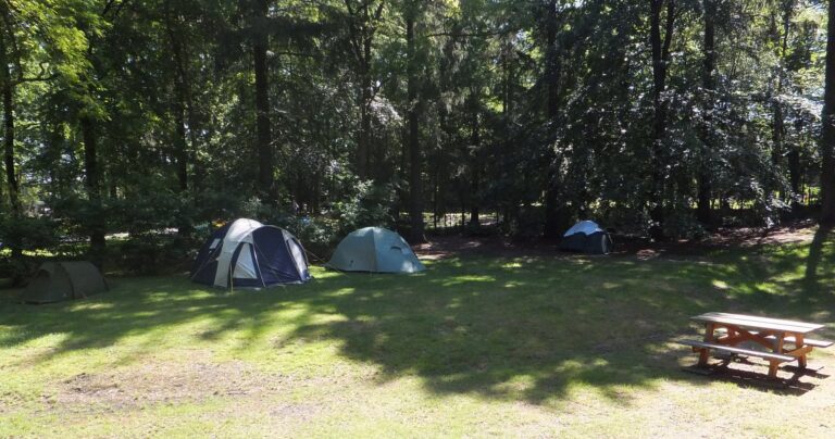 Boscamping Appelscha - Bild 6