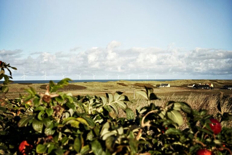 Bovbjerg Camping - Bild 12 Bovbjerg Camping - Bild 12