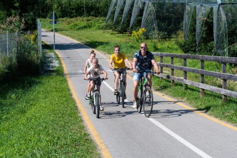 Caldonazzo Family Collection - Bild 11