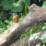 Camp Kyllburg - Bild 4