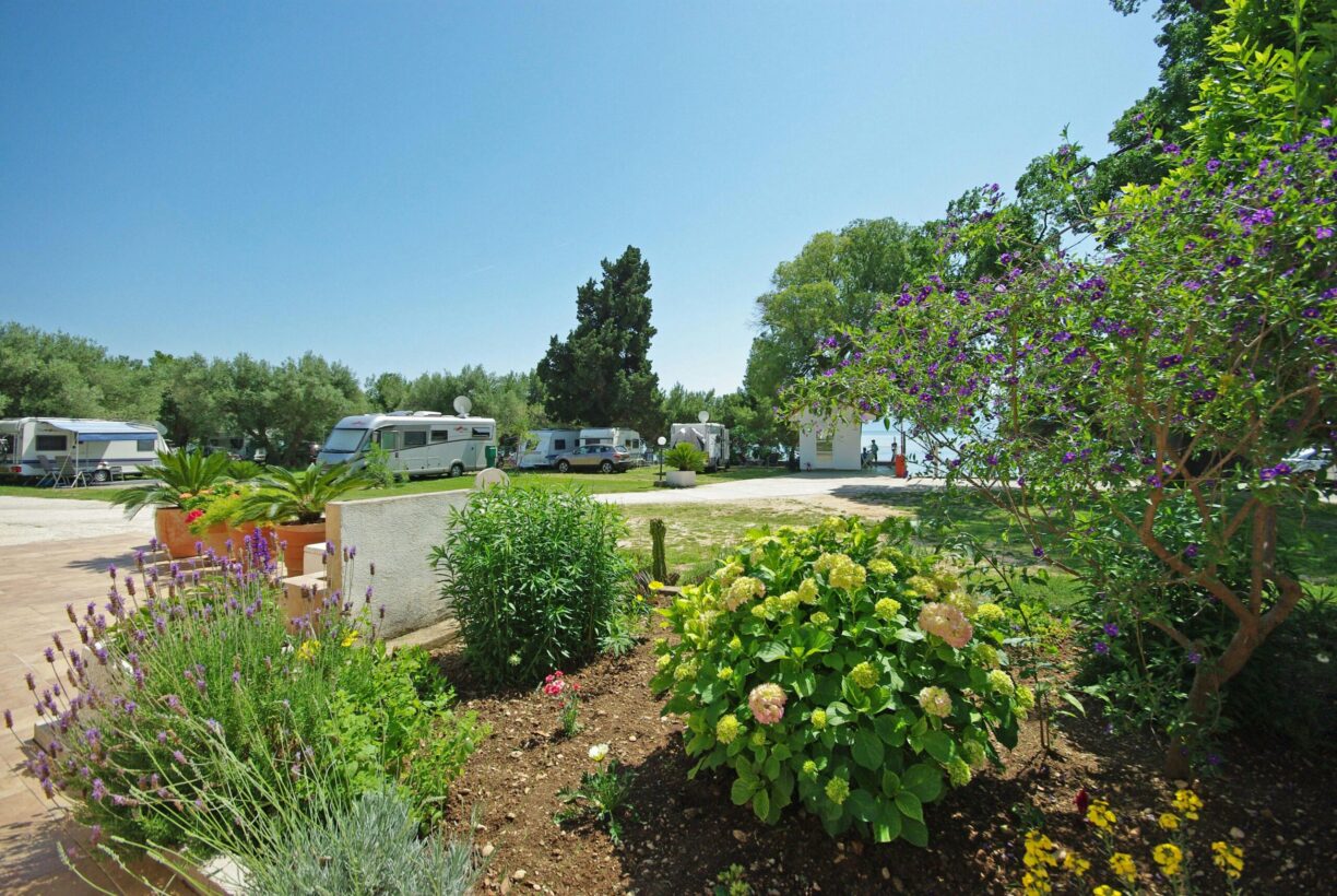 Camp Viter - Bild 11 Camp Viter - Bild 11