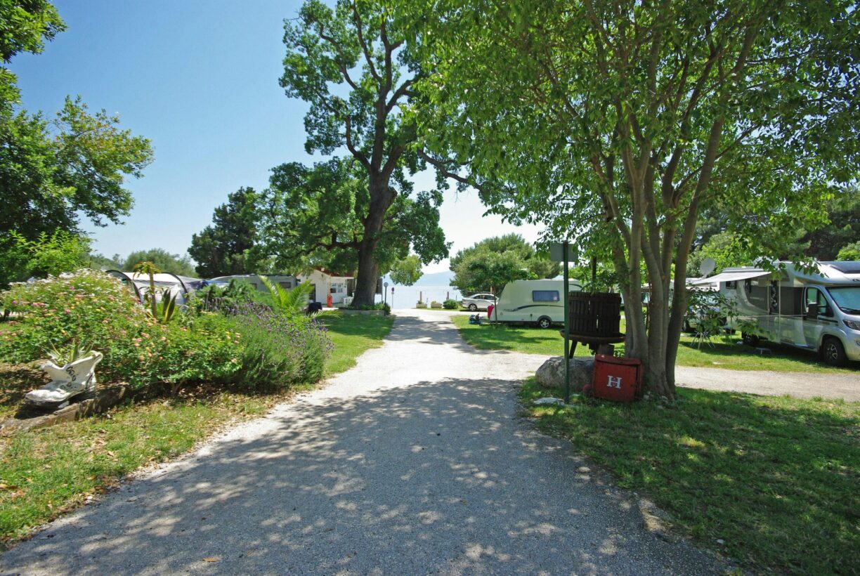 Camp Viter - Bild 14 Camp Viter - Bild 14