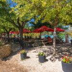 Campasun Camping De L'étang De La Bonde - Bild 13