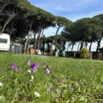 Campeggio Bocca Di Cecina - Bild 4