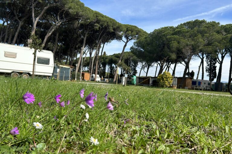 Campeggio Bocca Di Cecina - Bild 4