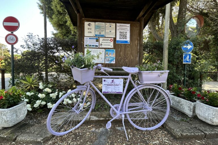 Campeggio Bocca Di Cecina - Bild 8