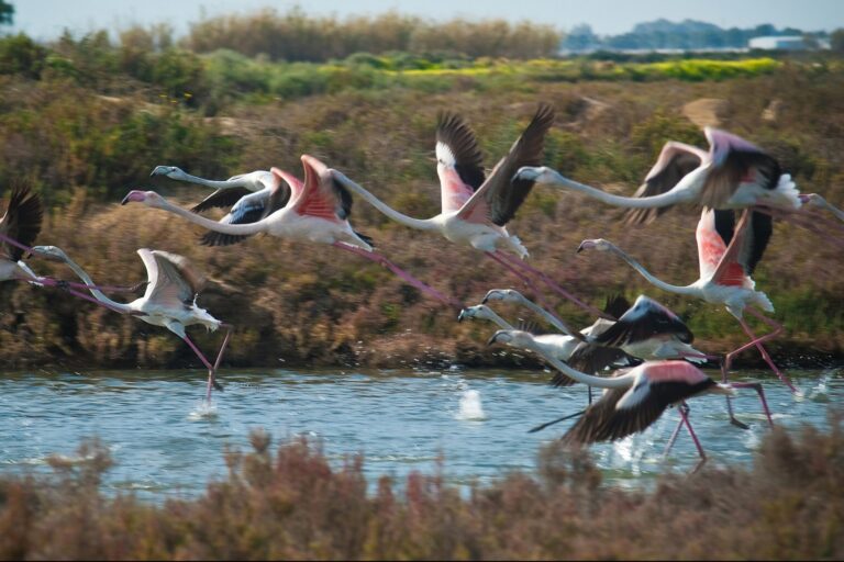 Camper Park Playas De Luz - Bild 18