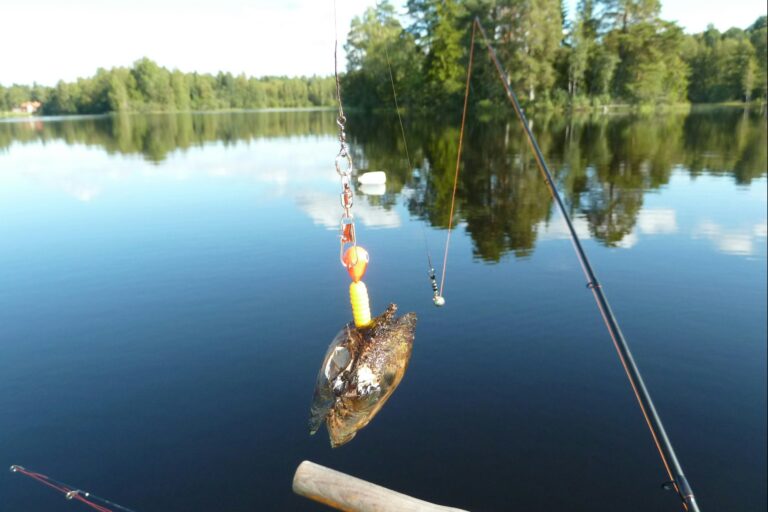 Camping 45 - Bild 15 Camping 45 - Bild 15