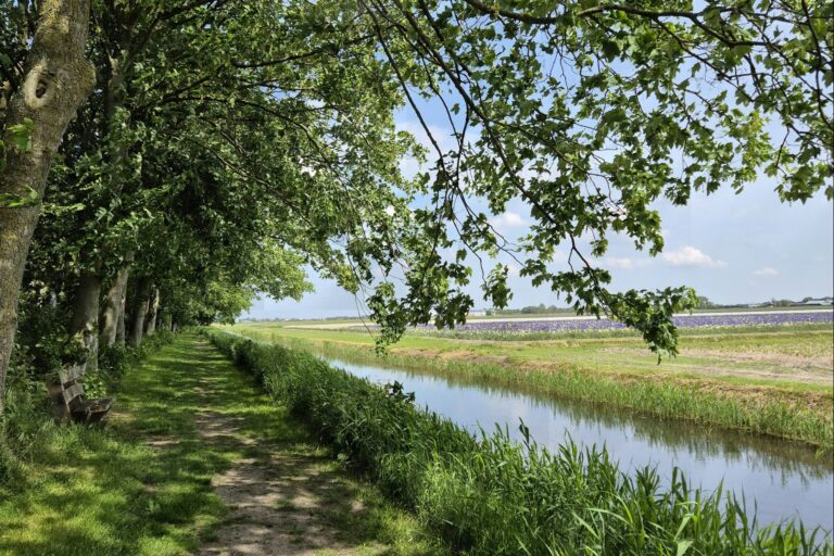 Camping Aan Noordzee - Bild 18