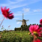 Camping Aan Noordzee - Bild 2