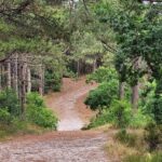 Camping Aan Noordzee - Bild 3