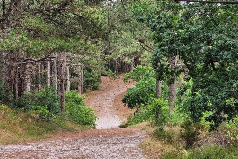 Camping Aan Noordzee - Bild 3
