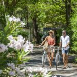 Camping Abri De Camargue - Bild 12 Camping Abri De Camargue - Bild 12