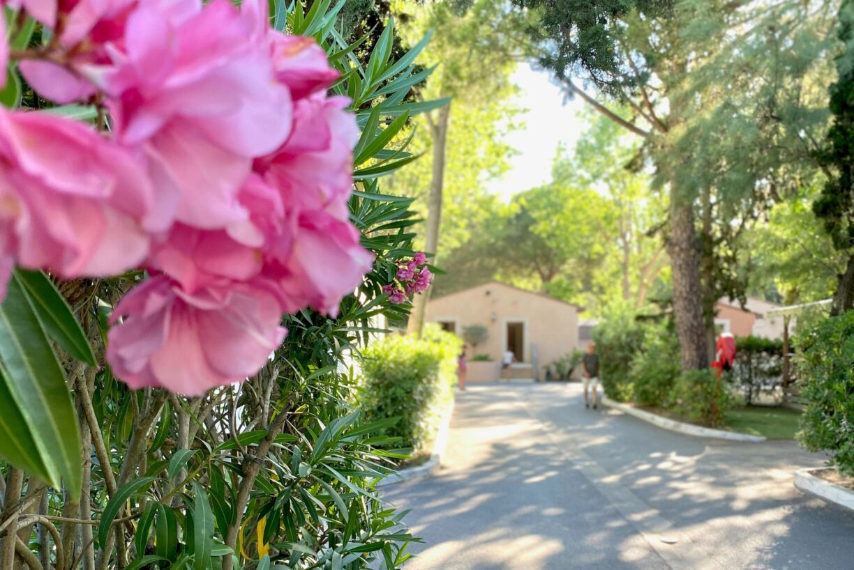 Camping Abri De Camargue - Bild 19 Camping Abri De Camargue - Bild 19