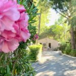 Camping Abri De Camargue - Bild 19 Camping Abri De Camargue - Bild 19