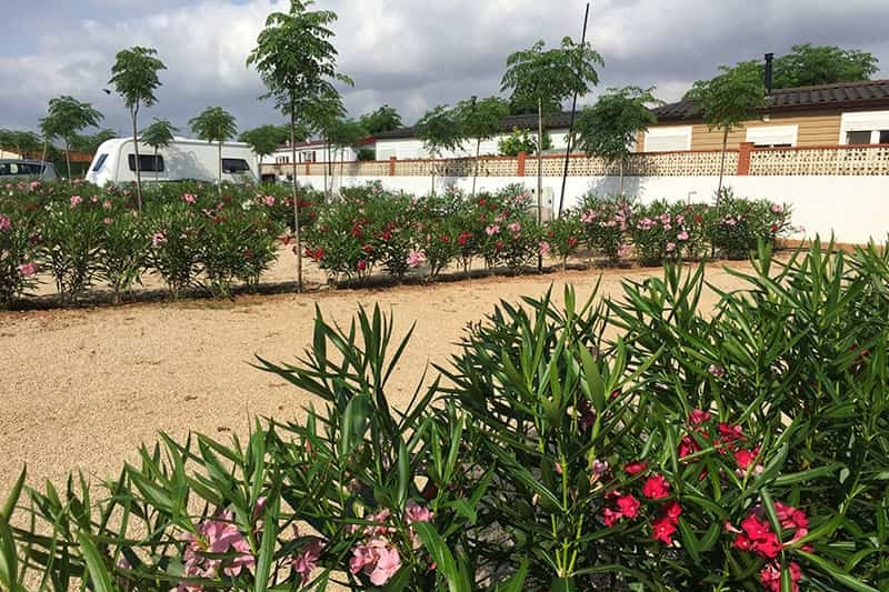 Camping Alegría Del Mar - Bild 11 Camping Alegría Del Mar - Bild 11