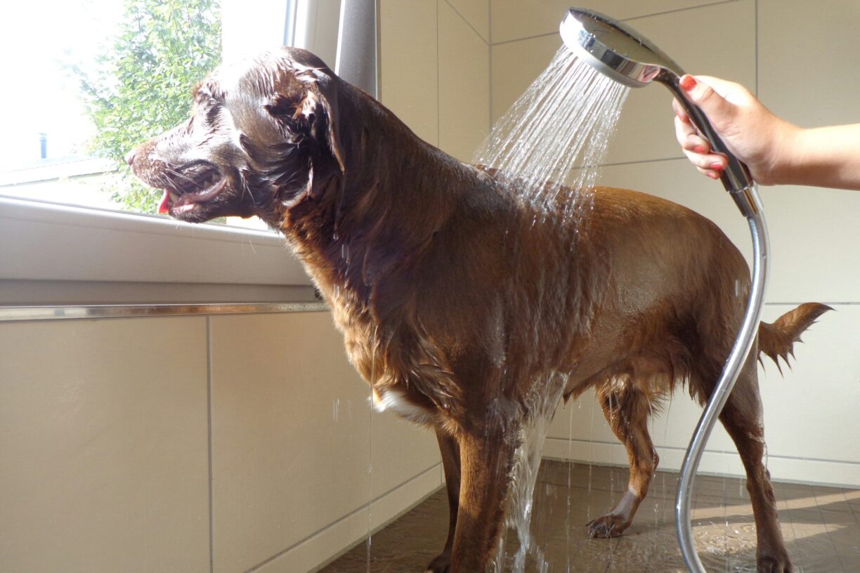 Camping Am Königsberg - Bild 13 Camping Am Königsberg - Bild 13