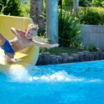 Camping Am Waldbad - Bild 9 Camping Am Waldbad - Bild 9