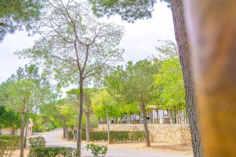 Camping Ametlla - Bild 11 Camping Ametlla - Bild 11