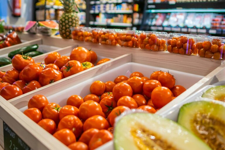 Camping Ametlla - Bild 17 Camping Ametlla - Bild 17