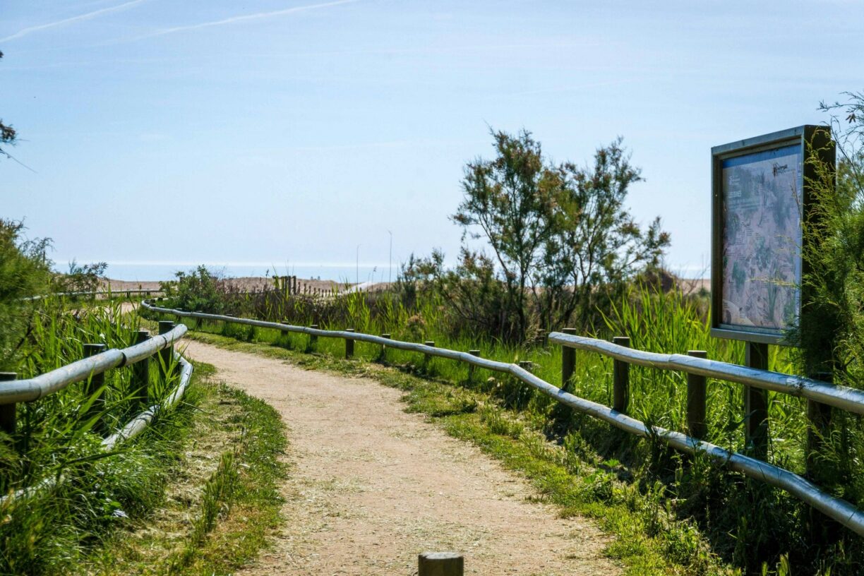 Camping Aquarius - Bild 18 Camping Aquarius - Bild 18