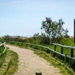 Camping Aquarius - Bild 18 Camping Aquarius - Bild 18