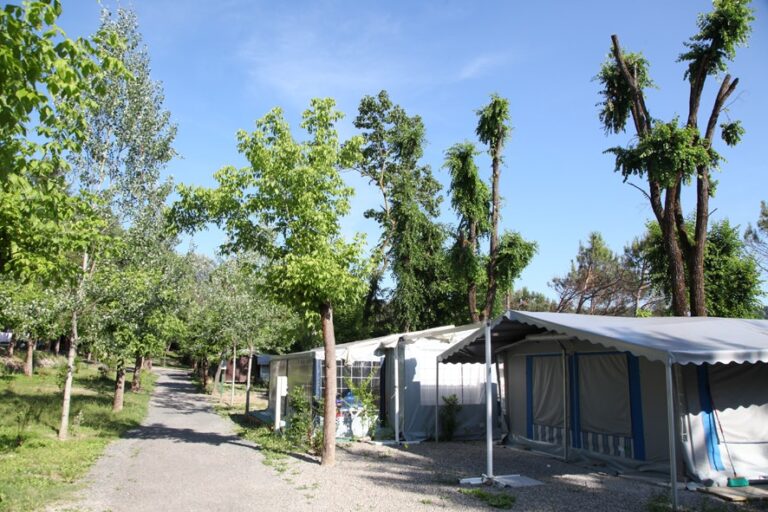 Camping Arizona - Bild 5