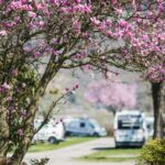 Camping Arquin - Bild 3