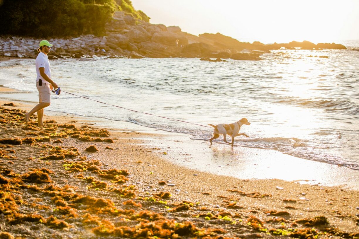 Camping Atlantica - Ciela Village - Bild 5 Camping Atlantica - Ciela Village - Bild 5