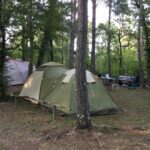 Camping Au Bois Dormant - Bild 4
