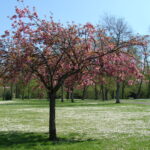 Camping Au Coeur De Vendôme - Bild 4